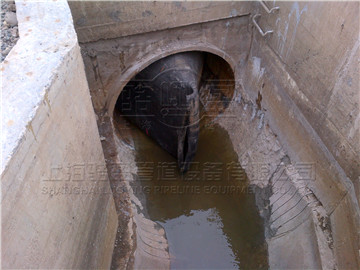 上海駱盈發展新型鴨嘴閥